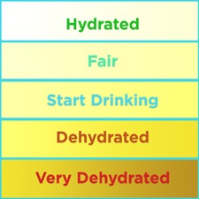 urine hydration levels